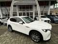 Mazda CX-60 2.5 phev Exclusive Line awd auto Blanc - thumbnail 2