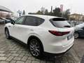 Mazda CX-60 2.5 phev Exclusive Line awd auto Blanc - thumbnail 5