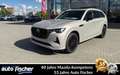 Mazda CX-80 PHEV 2.5 (327PS) AWD Autom. Homura Plus 7- Beige - thumbnail 1