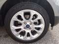 Ford EcoSport 1.0 EcoBoost 125 CV Start&Stop Titanium Grau - thumbnail 14