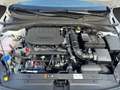 Kia Ceed / cee'd ULTIMATE EDITION 1.5 T-GDI MILD-HYBRID DCT *STYLE- Blanc - thumbnail 10