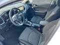 Kia Ceed / cee'd ULTIMATE EDITION 1.5 T-GDI MILD-HYBRID DCT *STYLE- Blanc - thumbnail 12