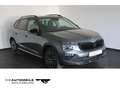 Skoda Kamiq 1.0 TSI Selection Matrix/ACC Grau - thumbnail 1