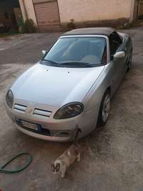 MG TF 135