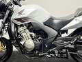 Honda CBF 600 N ABS Blanc - thumbnail 13