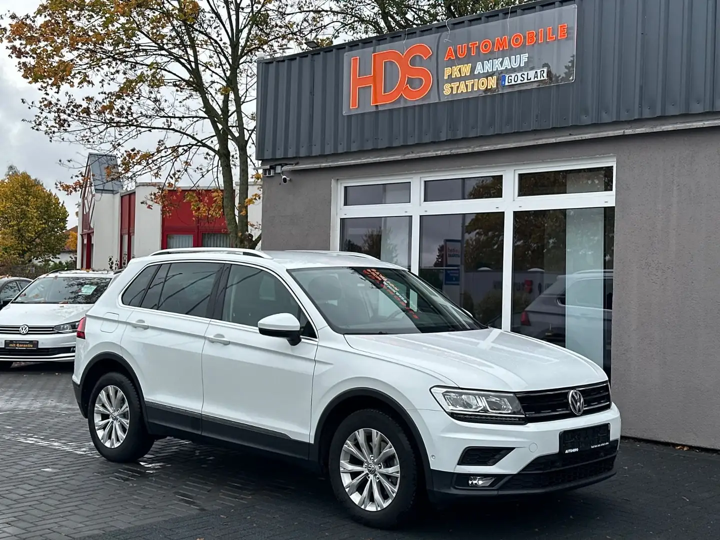 Volkswagen Tiguan Comfortline *LED *Alcantara *Navi * Wit - 1