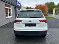 Volkswagen Tiguan Comfortline *LED *Alcantara *Navi * Wit - thumbnail 7