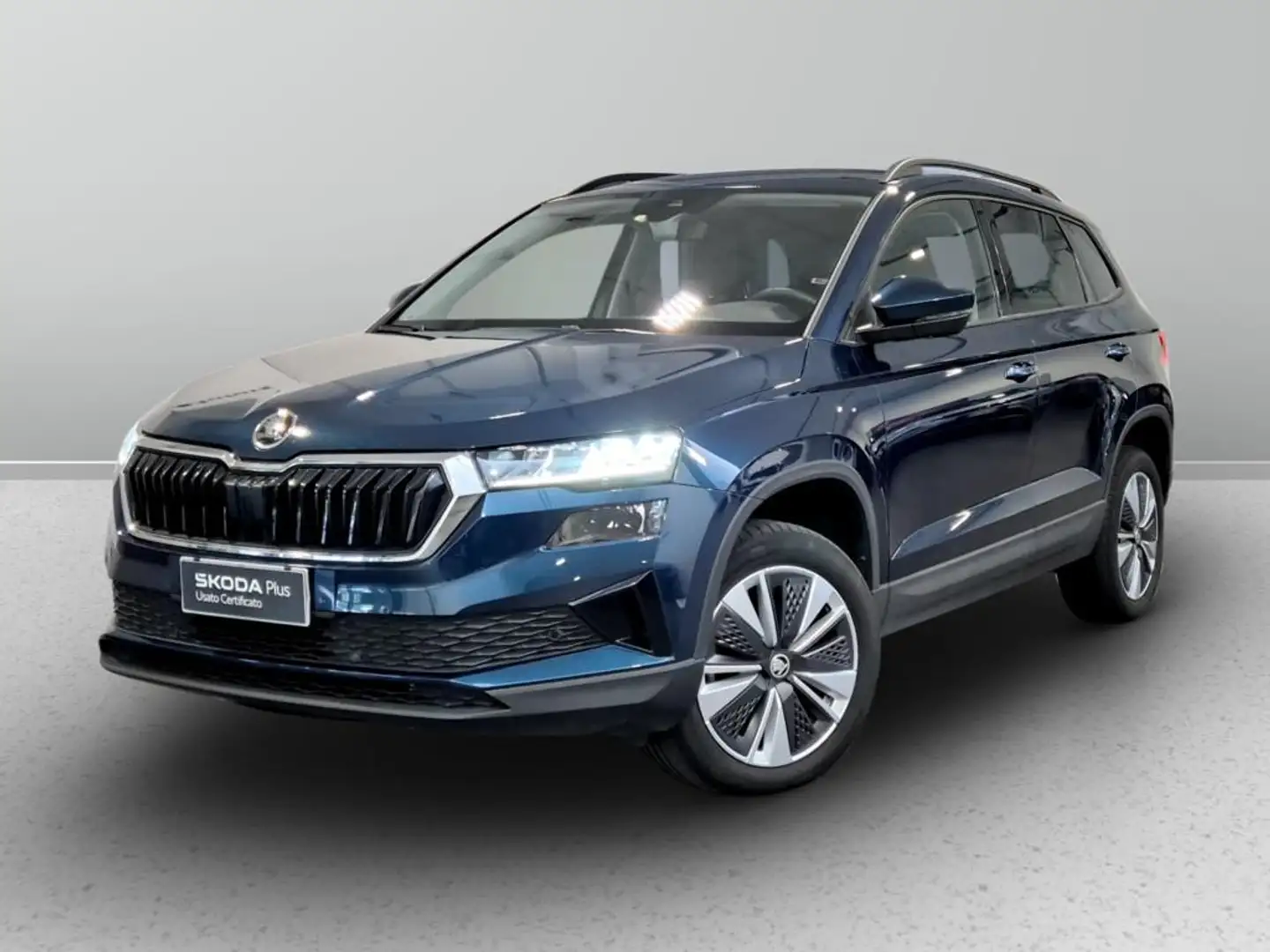 Skoda Karoq 2.0 tdi evo scr Executive 115cv dsg Blu/Azzurro - 1