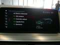 BMW 520 dxDrive Touring Luxury Pelle Navi Led Garanzia24 M Grau - thumbnail 19