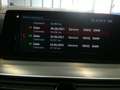 BMW 520 dxDrive Touring Luxury Pelle Navi Led Garanzia24 M Grau - thumbnail 21