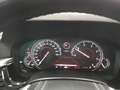 BMW 520 dxDrive Touring Luxury Pelle Navi Led Garanzia24 M Grau - thumbnail 16
