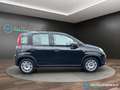 Fiat Panda 1.0 FireFly S&S Hybrid 70 CV PREZZO REALE Negro - thumbnail 4