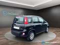 Fiat Panda 1.0 FireFly S&S Hybrid 70 CV PREZZO REALE Negro - thumbnail 5