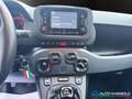 Fiat Panda 1.0 FireFly S&S Hybrid 70 CV PREZZO REALE Negro - thumbnail 15