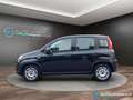 Fiat Panda 1.0 FireFly S&S Hybrid 70 CV PREZZO REALE Negro - thumbnail 8