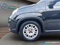 Fiat Panda 1.0 FireFly S&S Hybrid 70 CV PREZZO REALE Negro - thumbnail 9