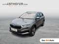 Skoda Karoq Style TDI DSG Grau - thumbnail 1