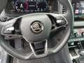 Skoda Karoq Style TDI DSG Grau - thumbnail 17
