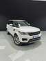 Land Rover Range Rover Sport 2.0SD4 S Aut. Blanco - thumbnail 4