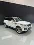 Land Rover Range Rover Sport 2.0SD4 S Aut. Blanco - thumbnail 3