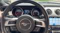 Ford Mustang Fastback 2.3 EcoBoost Grigio - thumbnail 17