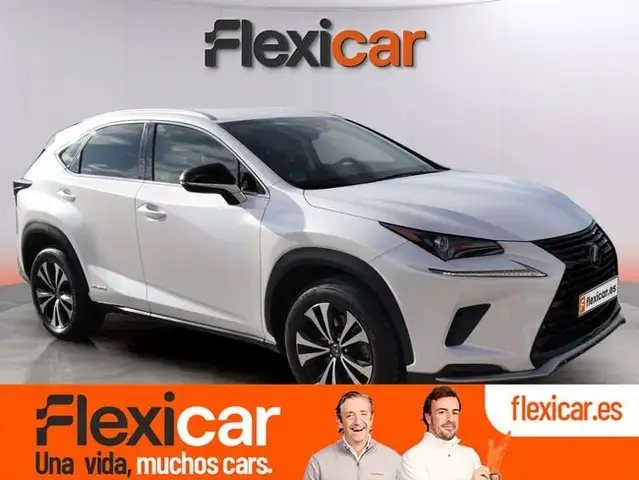 Lexus NX 300 300h Business 2WD