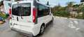 Renault Trafic Trafic 2.0dCi Passenger Privilege 115 Passenger Pr Blanco - thumbnail 6