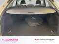Audi Q5 Sportback 55 TFSI e quattro S line LED Navi PDCv+h Blanc - thumbnail 7
