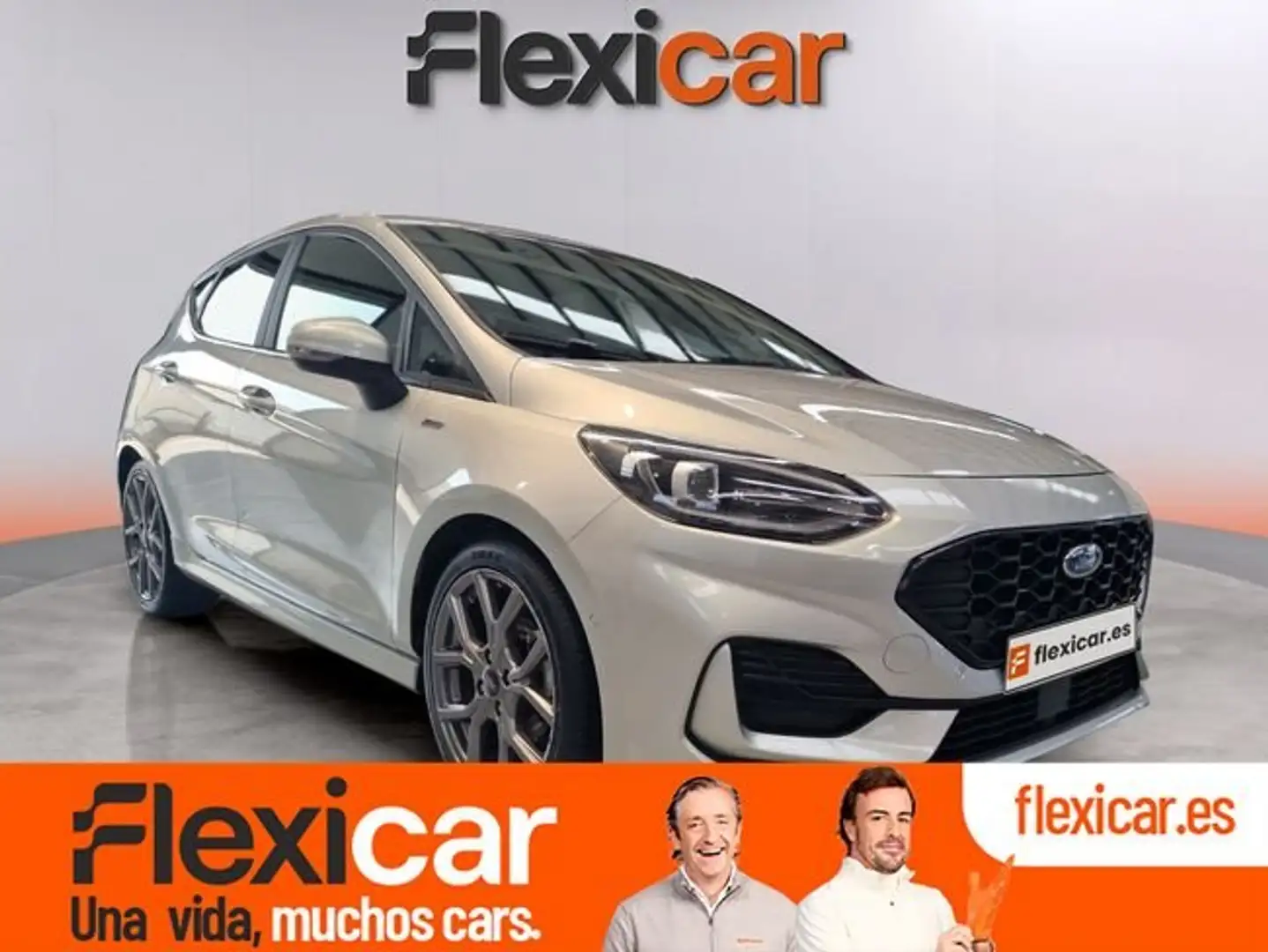 Ford Fiesta 1.0+EcoBoost+MHEV+92kW%28125CV%29+ST-Line+5p Gris - 1