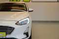 Ford Focus Turnier 1,5 EcoBl. ''AHK*NAVI*SITZH*LED*R-KAM Weiß - thumbnail 10