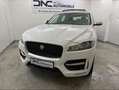 Jaguar F-Pace 20d AWD R-Sport Aut.*PANO*AHK*SHZ* Weiß - thumbnail 6