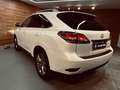 Lexus RX 450h Luxury Blanco - thumbnail 20