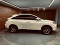 Lexus RX 450h Luxury Blanco - thumbnail 14