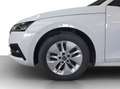 Skoda Octavia Combi 2.0 TDI DSG 4x4 Ambition LED*SMART-LINK*S... Weiß - thumbnail 18