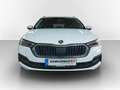 Skoda Octavia Combi 2.0 TDI DSG 4x4 Ambition LED*SMART-LINK*S... Weiß - thumbnail 2