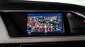 Audi A5 SB 2.0 tdi Business Plus quattro 190cv s-tronic Schwarz - thumbnail 19