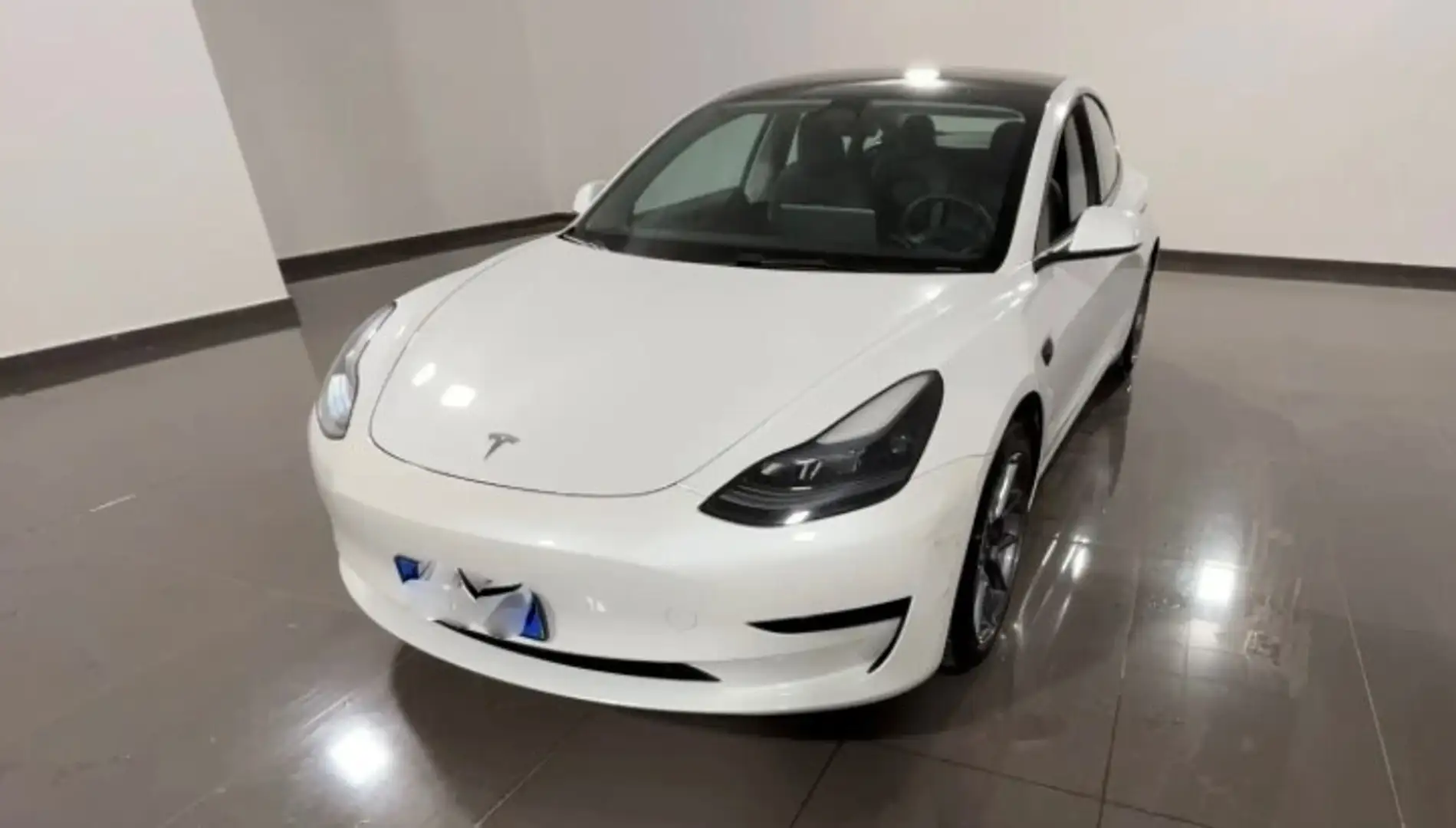 Tesla Model 3 Model 3 Standard rwd Plus Bianco - 1
