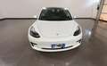 Tesla Model 3 Model 3 Standard rwd Plus Bianco - thumbnail 6