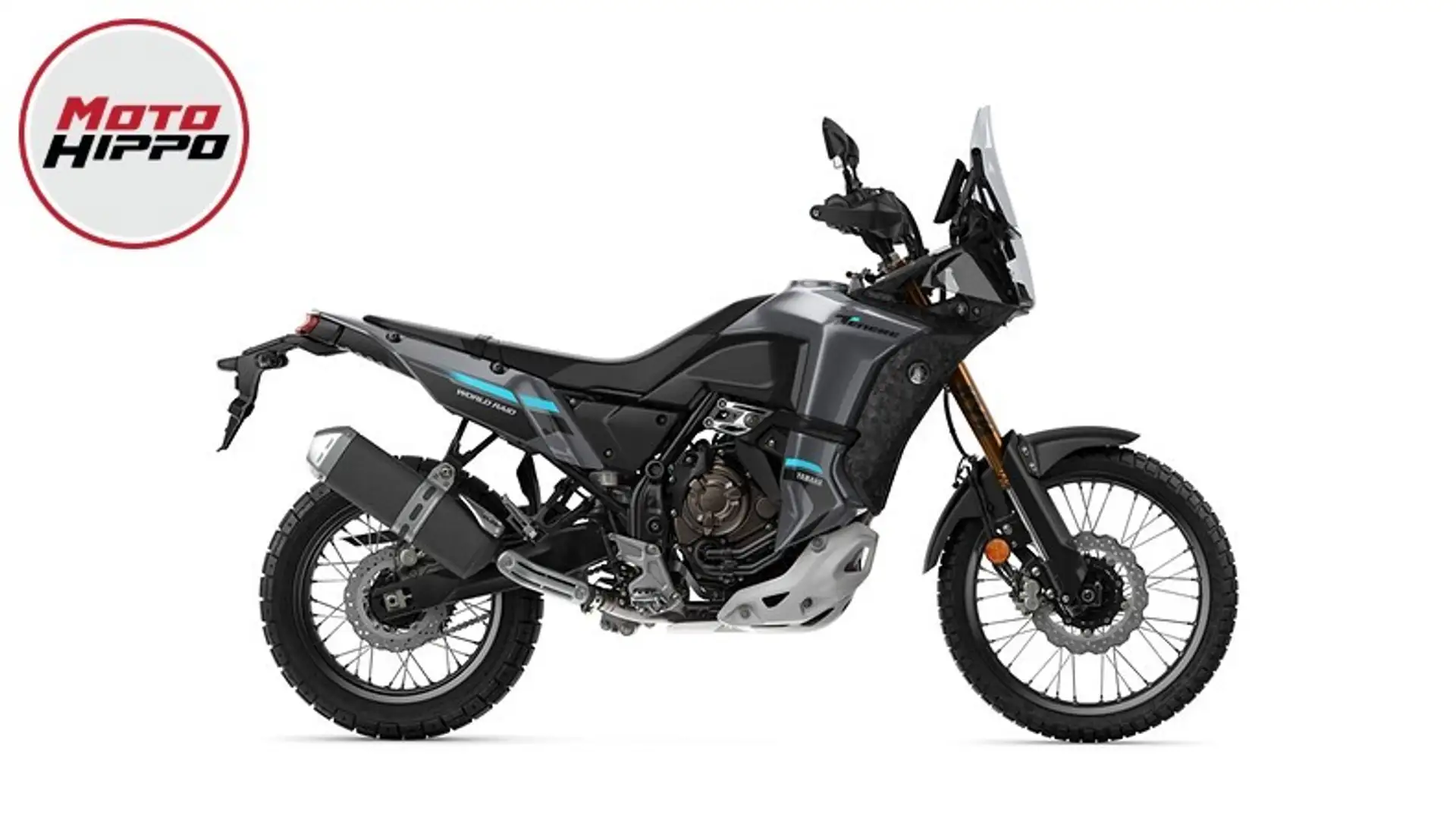 Yamaha Ténéré 700 WORLD RAID Gri - 1