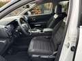 Citroen C5 Aircross C-Series HYBRID CAMERA LED  DSC6 - thumbnail 13