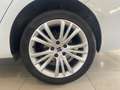 SEAT Leon Leon Sportstourer 2.0 tdi Style 150cv dsg Bianco - thumbnail 5