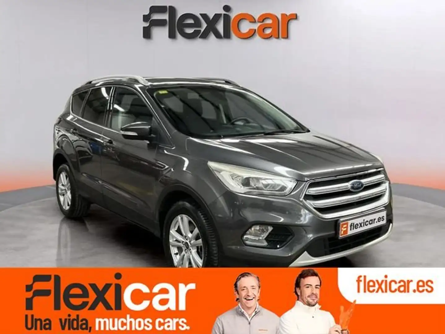 Ford Kuga 2.0TDCi Auto S&S Titanium 4x2 150 Gris - 1