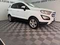 Ford EcoSport 1.0 Trend NEUE Allwetterreifen TÜV 5-27 Weiß - thumbnail 6