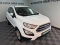 Ford EcoSport 1.0 Trend NEUE Allwetterreifen TÜV 5-27 Weiß - thumbnail 3