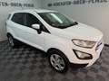 Ford EcoSport 1.0 Trend NEUE Allwetterreifen TÜV 5-27 Weiß - thumbnail 2