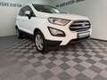 Ford EcoSport 1.0 Trend NEUE Allwetterreifen TÜV 5-27 Weiß - thumbnail 7