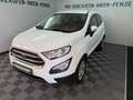 Ford EcoSport 1.0 Trend NEUE Allwetterreifen TÜV 5-27 Weiß - thumbnail 5