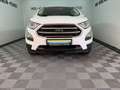 Ford EcoSport 1.0 Trend NEUE Allwetterreifen TÜV 5-27 Weiß - thumbnail 8