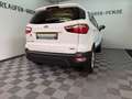 Ford EcoSport 1.0 Trend NEUE Allwetterreifen TÜV 5-27 Weiß - thumbnail 33