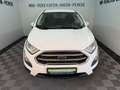 Ford EcoSport 1.0 Trend NEUE Allwetterreifen TÜV 5-27 Weiß - thumbnail 4